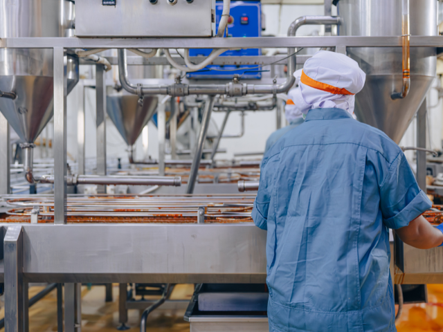Operateur en tenue de protection dans une usine agroalimentaire de transformation - industrie alimentaire et manufacturiere de la region de Granby en Monteregie - PME B2B du secteur agro-industriel qui cherche a structurer son acquisition et sa conversion commerciale